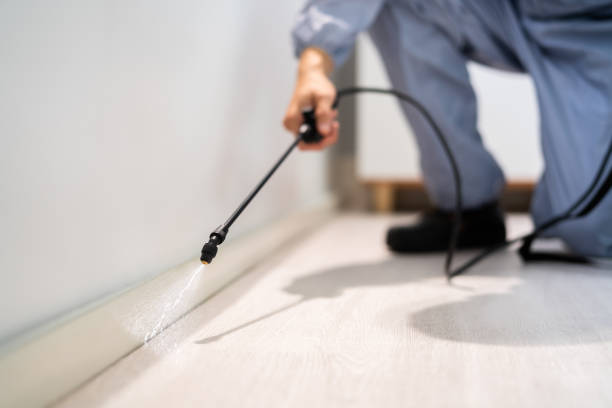 Bed Bug Pre-Treatment Preparation Assessment in Helena Valley Southeast