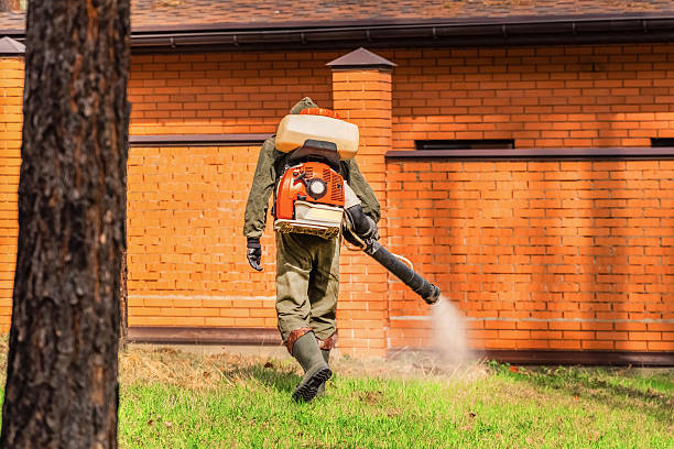 Bed Bug Clearance Verification and Documentation in Helena Valley Southeast